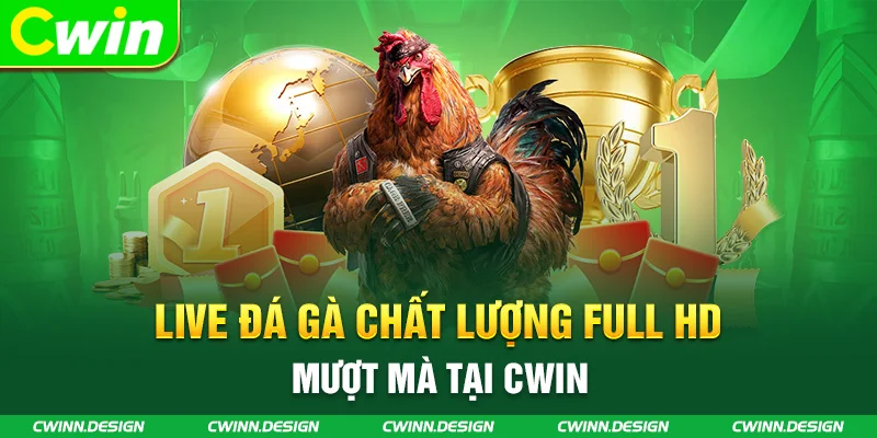 Live đá gà chất lượng full HD mượt mà